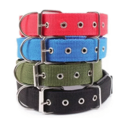 Collar resistente para perros