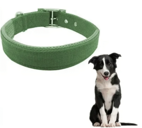 Collar resistente para perros - Imagen 6