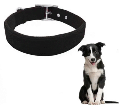 Collar resistente para perros - Imagen 4