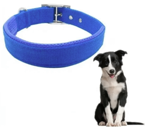 Collar resistente para perros - Imagen 3